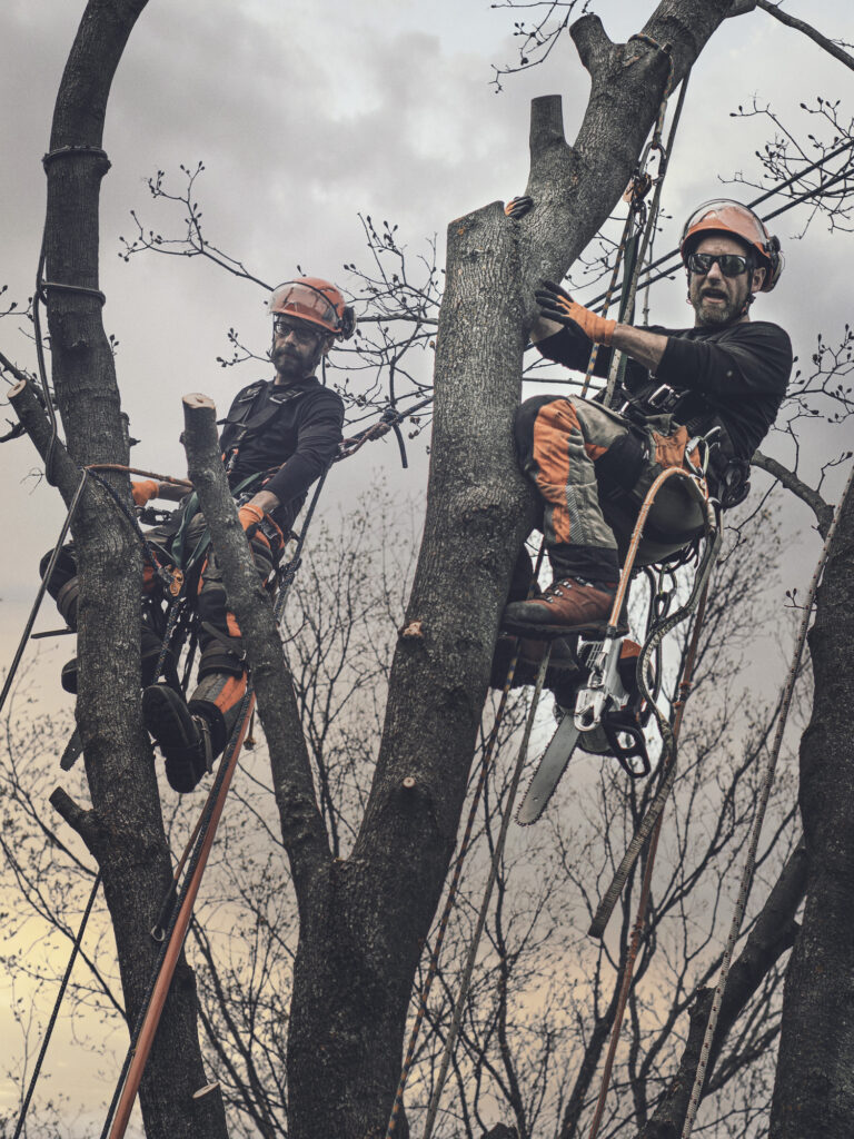 Baumpflege Team Euskirchen Über Uns